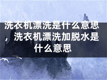 洗衣机漂洗是什么意思，洗衣机漂洗加脱水是什么意思