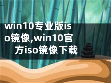 win10专业版iso镜像,win10官方iso镜像下载