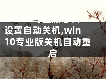 win10专业版怎么设置自动关机,win10专业版关机自动重启