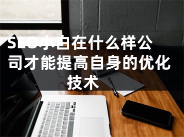 SEO小白在什么样公司才能提高自身的优化技术 