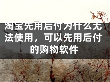 淘宝先用后付为什么无法使用，可以先用后付的购物软件