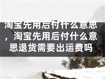 淘宝先用后付什么意思，淘宝先用后付什么意思退货需要出运费吗