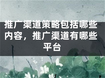 推广渠道策略包括哪些内容，推广渠道有哪些平台