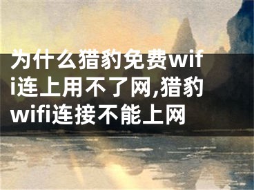 为什么猎豹免费wifi连上用不了网,猎豹wifi连接不能上网