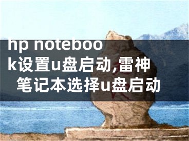 hp notebook设置u盘启动,雷神笔记本选择u盘启动