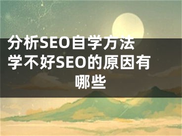 分析SEO自学方法 学不好SEO的原因有哪些