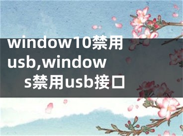 window10禁用usb,windows禁用usb接口