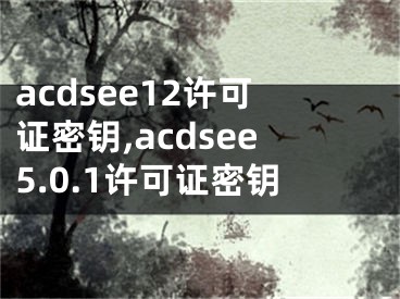 acdsee12许可证密钥,acdsee5.0.1许可证密钥