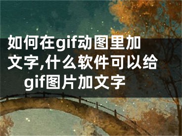 如何在gif动图里加文字,什么软件可以给gif图片加文字