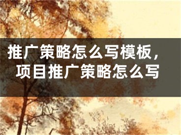 推广策略怎么写模板，项目推广策略怎么写