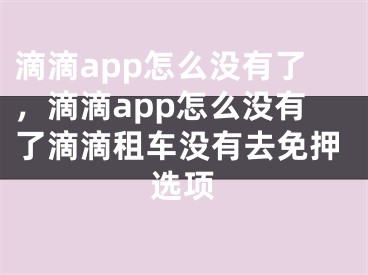 滴滴app怎么没有了，滴滴app怎么没有了滴滴租车没有去免押选项