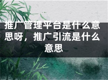 推广管理平台是什么意思呀，推广引流是什么意思