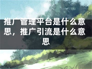 推广管理平台是什么意思，推广引流是什么意思