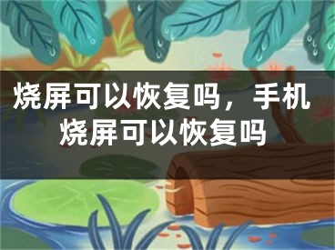 烧屏可以恢复吗，手机烧屏可以恢复吗