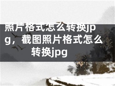 照片格式怎么转换jpg，截图照片格式怎么转换jpg