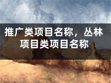 推广类项目名称，丛林项目类项目名称