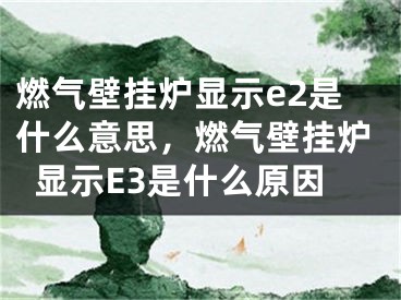 燃气壁挂炉显示e2是什么意思，燃气壁挂炉显示E3是什么原因