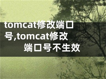 tomcat修改端口号,tomcat修改端口号不生效