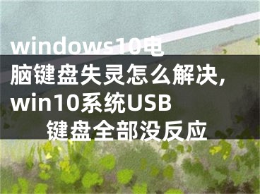 windows10电脑键盘失灵怎么解决,win10系统USB键盘全部没反应