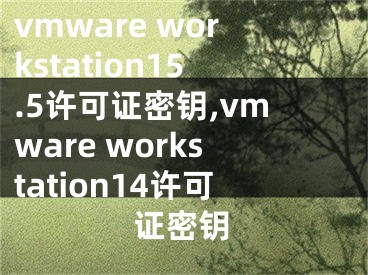 vmware workstation15.5许可证密钥,vmware workstation14许可证密钥