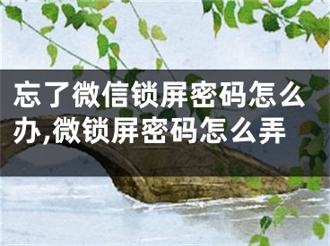 忘了微信锁屏密码怎么办,微锁屏密码怎么弄