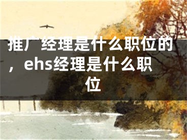 推广经理是什么职位的，ehs经理是什么职位