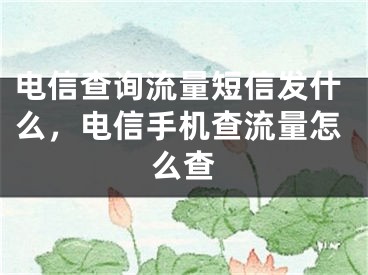 电信查询流量短信发什么，电信手机查流量怎么查