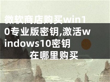 微软商店购买win10专业版密钥,激活windows10密钥在哪里购买