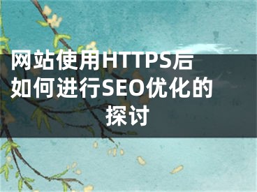 网站使用HTTPS后如何进行SEO优化的探讨 