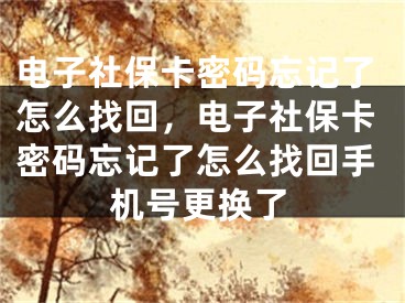 电子社保卡密码忘记了怎么找回，电子社保卡密码忘记了怎么找回手机号更换了