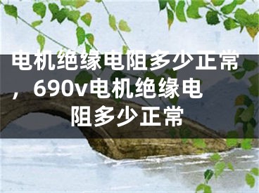 电机绝缘电阻多少正常，690v电机绝缘电阻多少正常