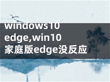 windows10 edge,win10家庭版edge没反应