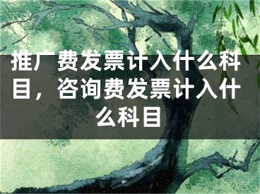 推广费发票计入什么科目，咨询费发票计入什么科目