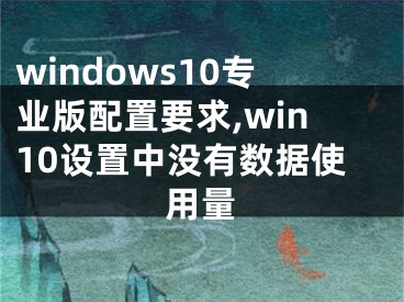 windows10专业版配置要求,win10设置中没有数据使用量