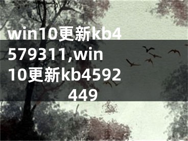 win10更新kb4579311,win10更新kb4592449