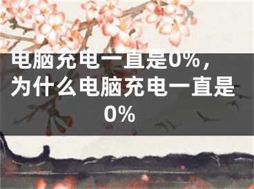 电脑充电一直是0%，为什么电脑充电一直是0%