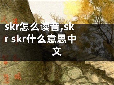 skr怎么读音,skr skr什么意思中文