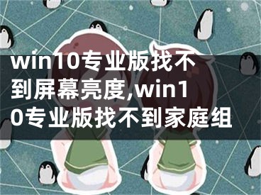 win10专业版找不到屏幕亮度,win10专业版找不到家庭组