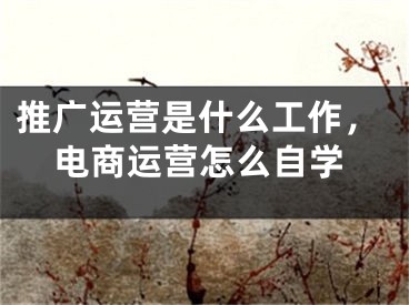 推广运营是什么工作，电商运营怎么自学