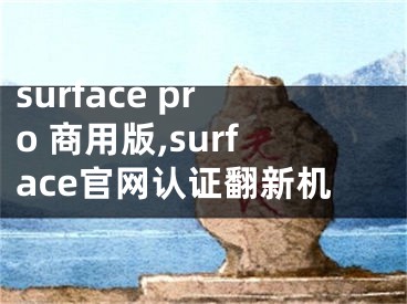 surface pro 商用版,surface官网认证翻新机