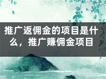 推广返佣金的项目是什么，推广赚佣金项目