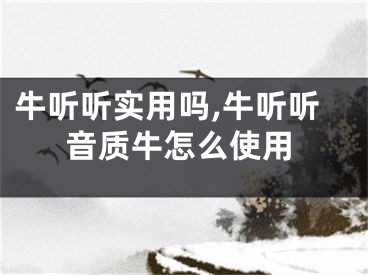 牛听听实用吗,牛听听音质牛怎么使用