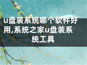 u盘装系统哪个软件好用,系统之家u盘装系统工具