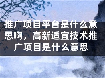 推广项目平台是什么意思啊，高新适宜技术推广项目是什么意思