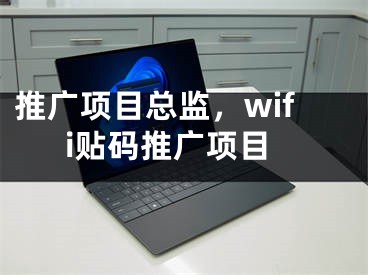 推广项目总监，wifi贴码推广项目