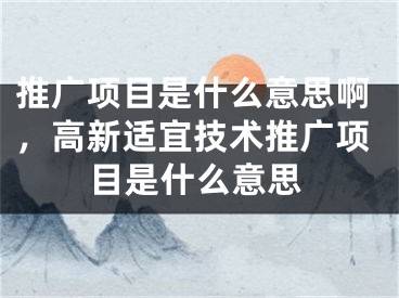 推广项目是什么意思啊，高新适宜技术推广项目是什么意思