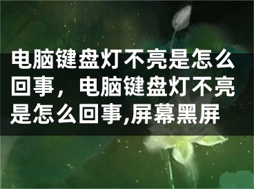 电脑键盘灯不亮是怎么回事，电脑键盘灯不亮是怎么回事,屏幕黑屏