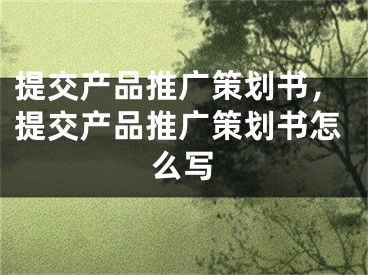 提交产品推广策划书，提交产品推广策划书怎么写