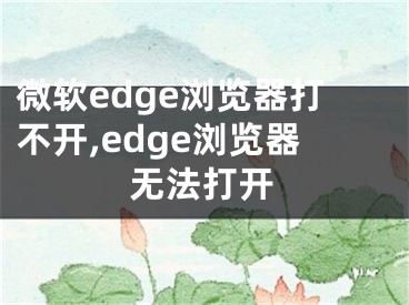 微软edge浏览器打不开,edge浏览器无法打开