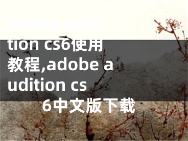 adobe audition cs6使用教程,adobe audition cs6中文版下载